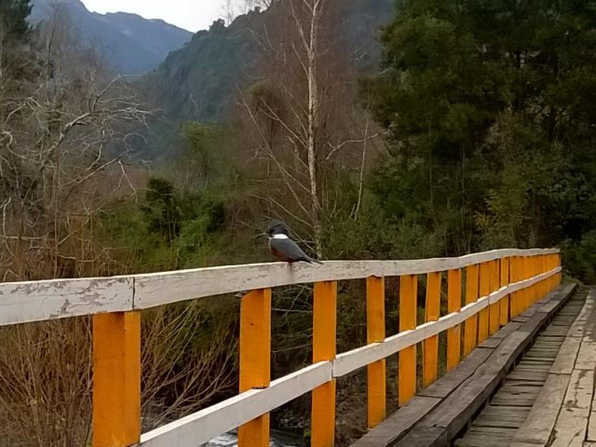 RininahueCuyinco Domos别墅 外观 照片