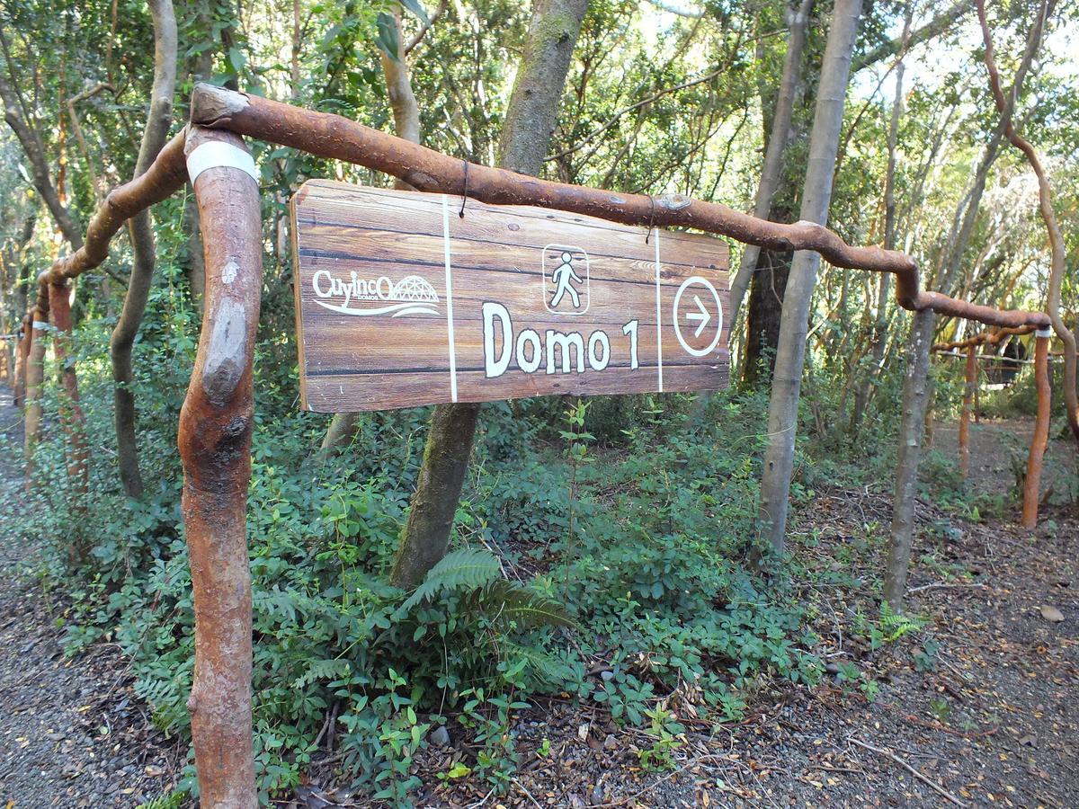 RininahueCuyinco Domos别墅 外观 照片